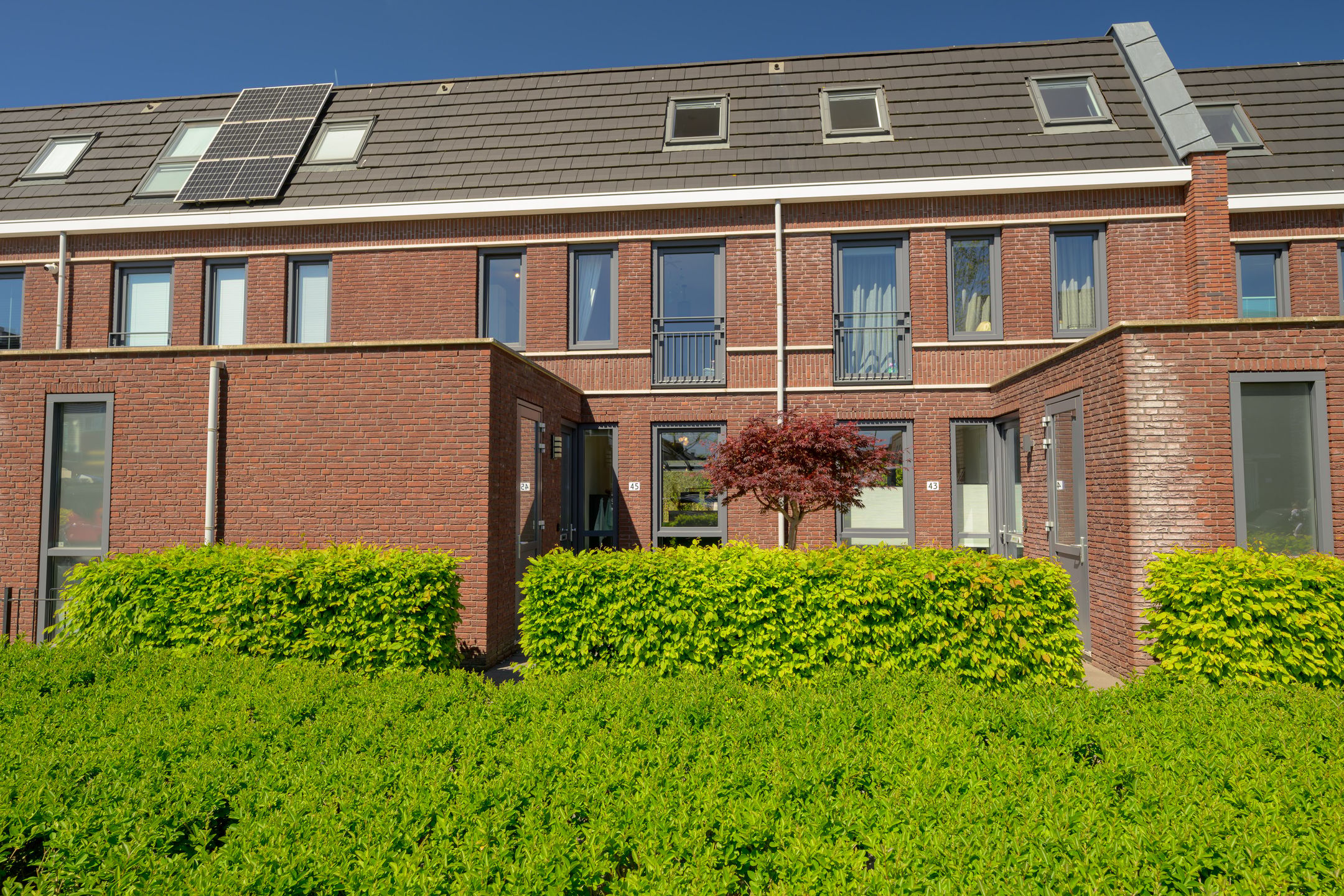 Foto 48 van Brielsemeer 45