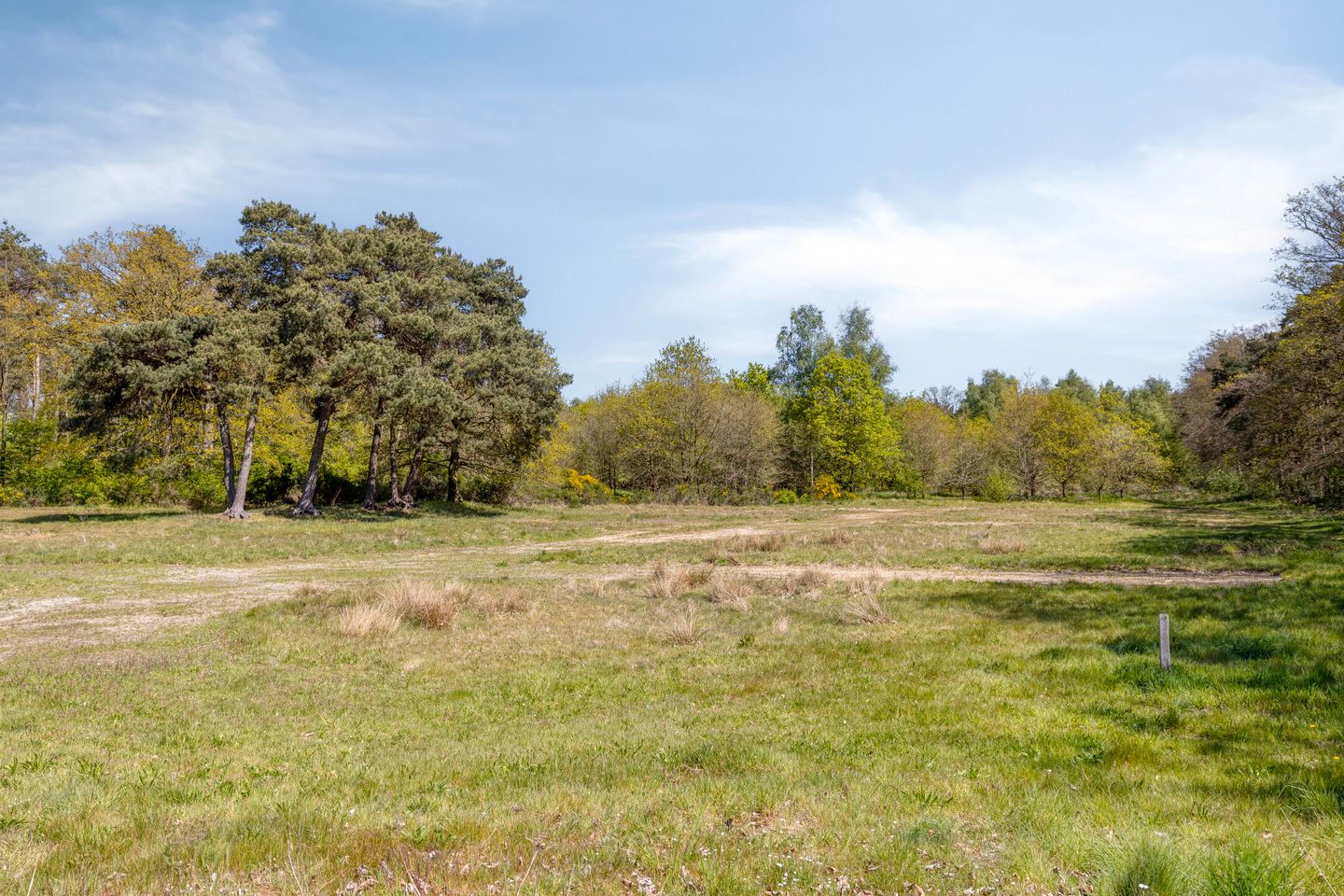 Photo 49 of Veenhuisweg 3