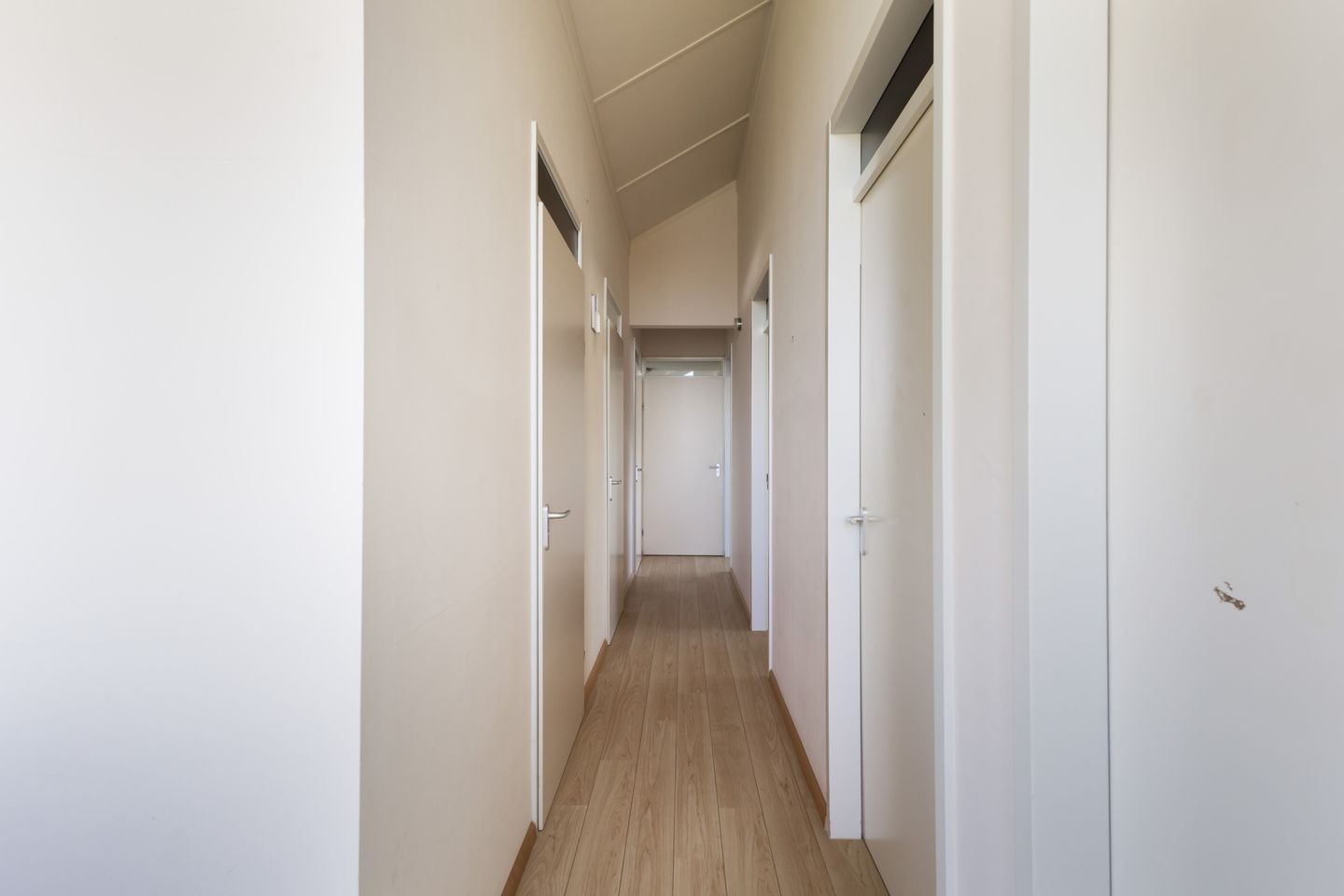 Foto 49 van Hollandse Hout 314