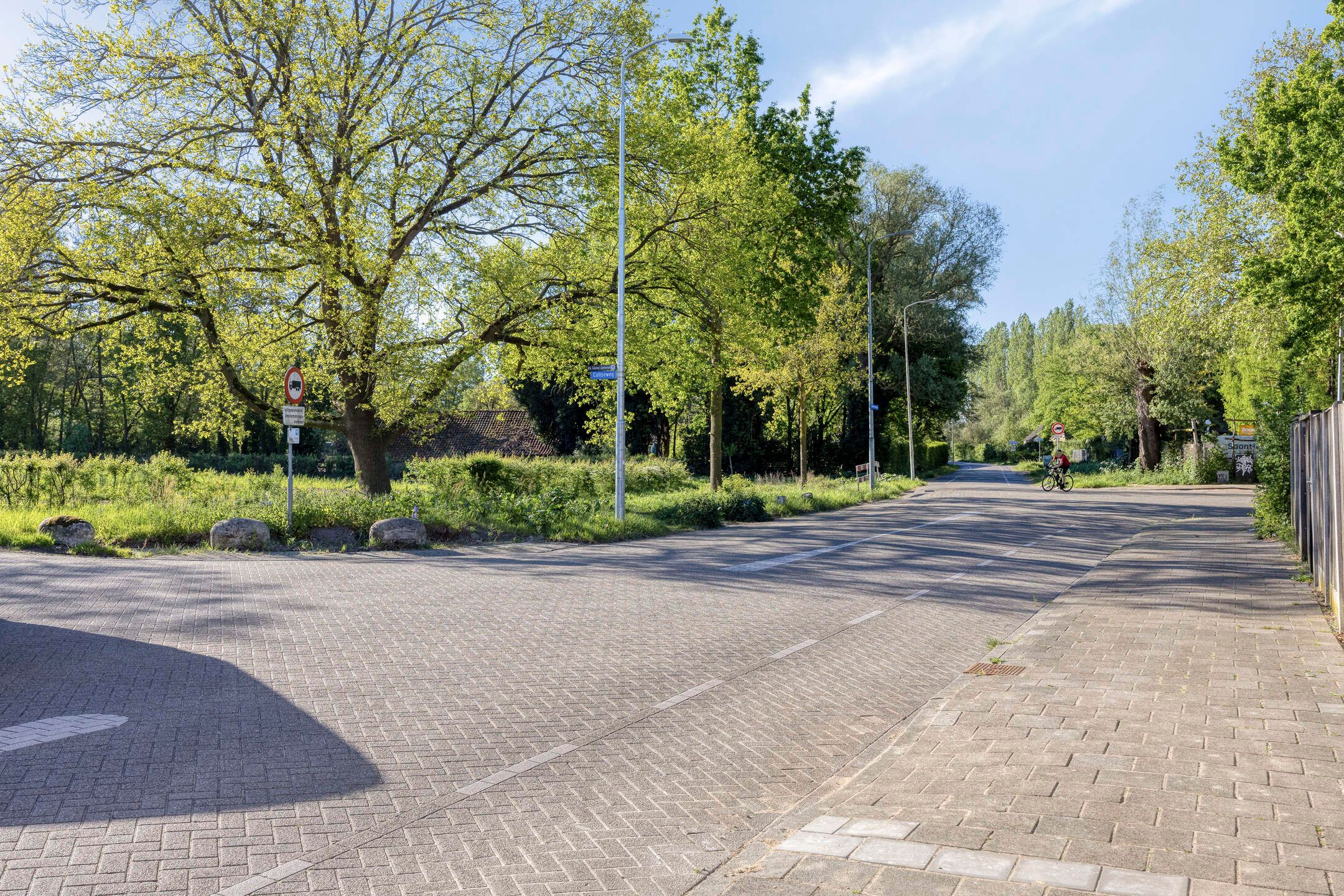 Photo 75 of Haagbeemd 11