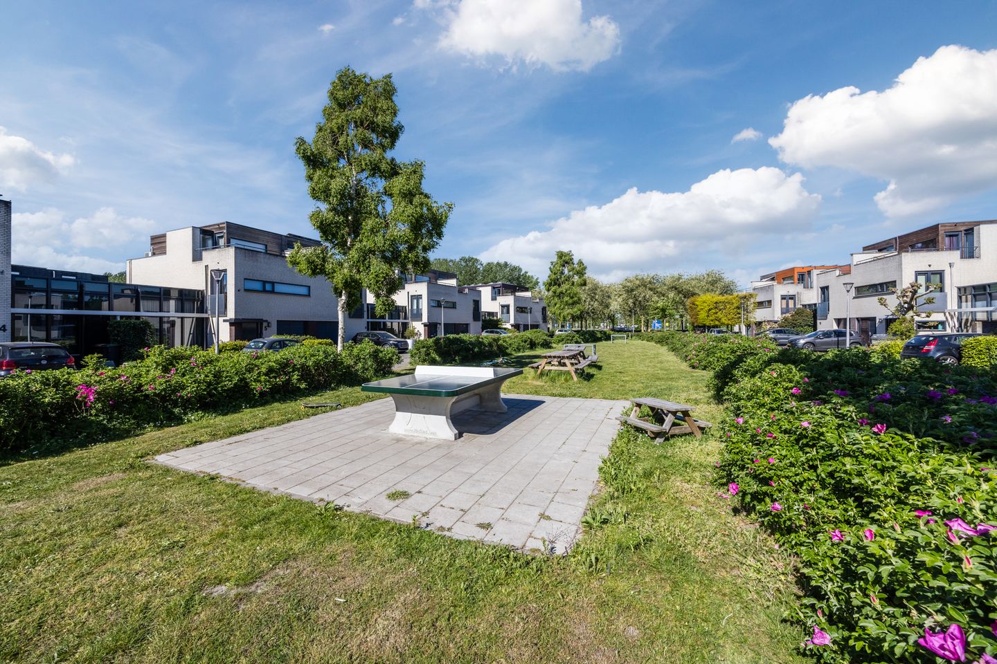 Photo 59 of Spakenburglaan 62