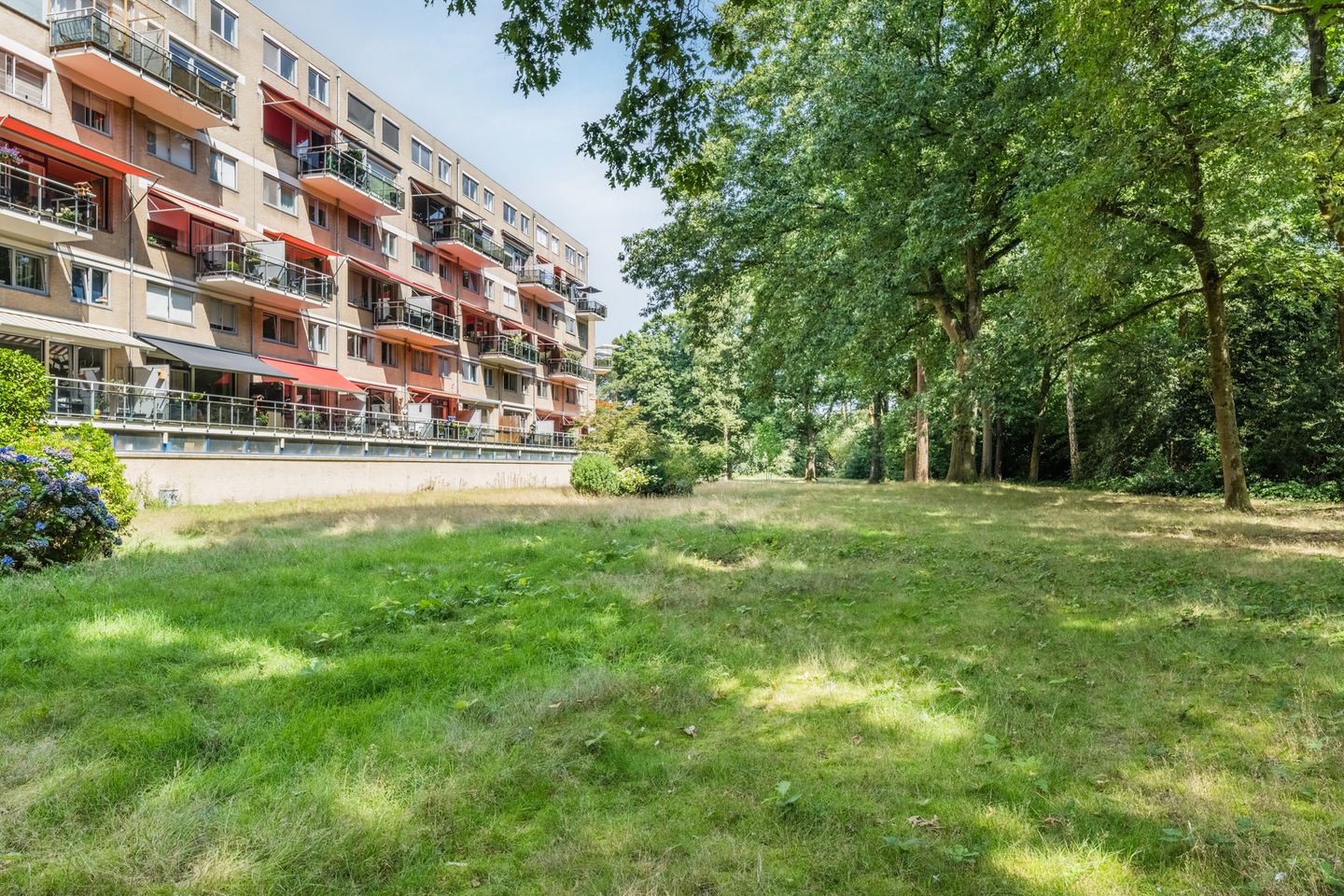 Photo 35 of Zwartvenseweg 118