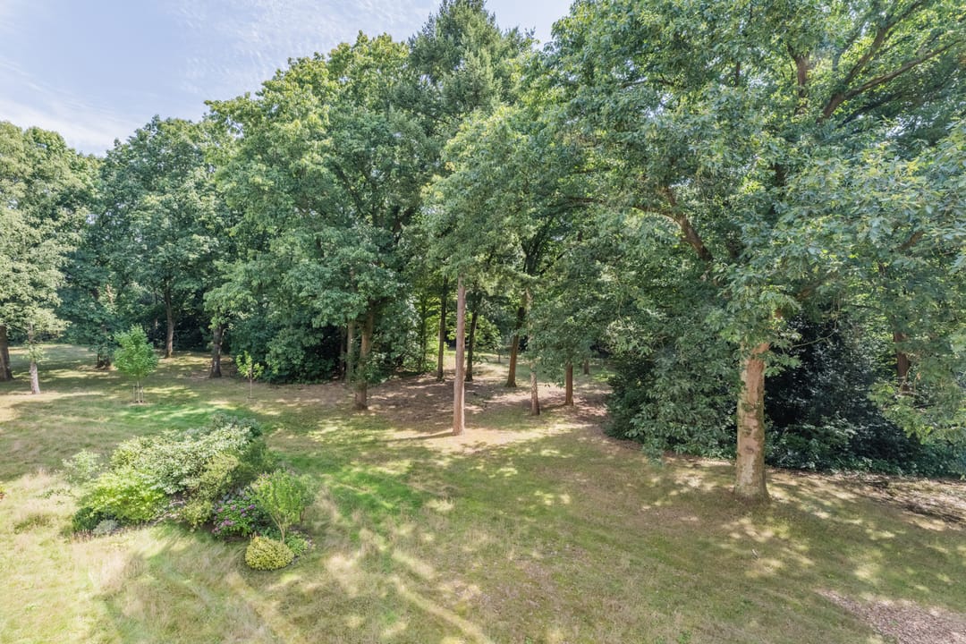 Photo 11 of Zwartvenseweg 118