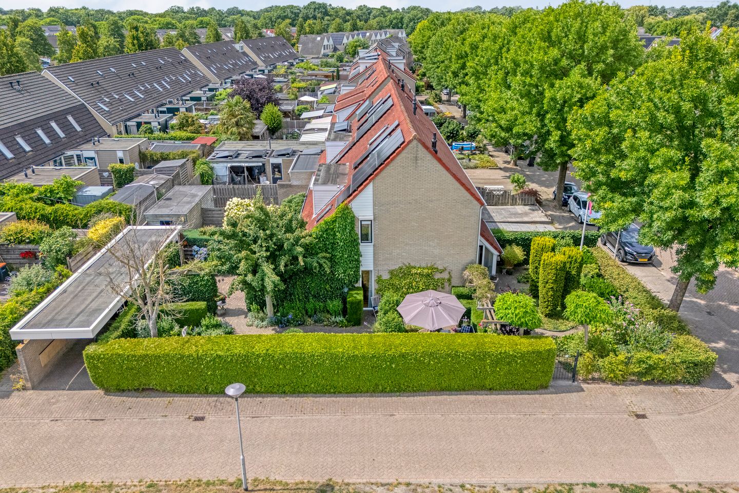 Foto 4 van Hoornblad 53