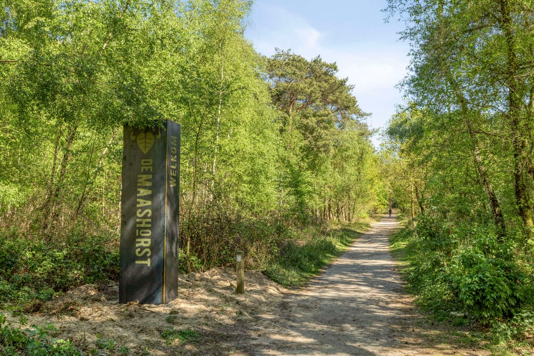 Photo 52 of Burgemeester van Erpstraat 54