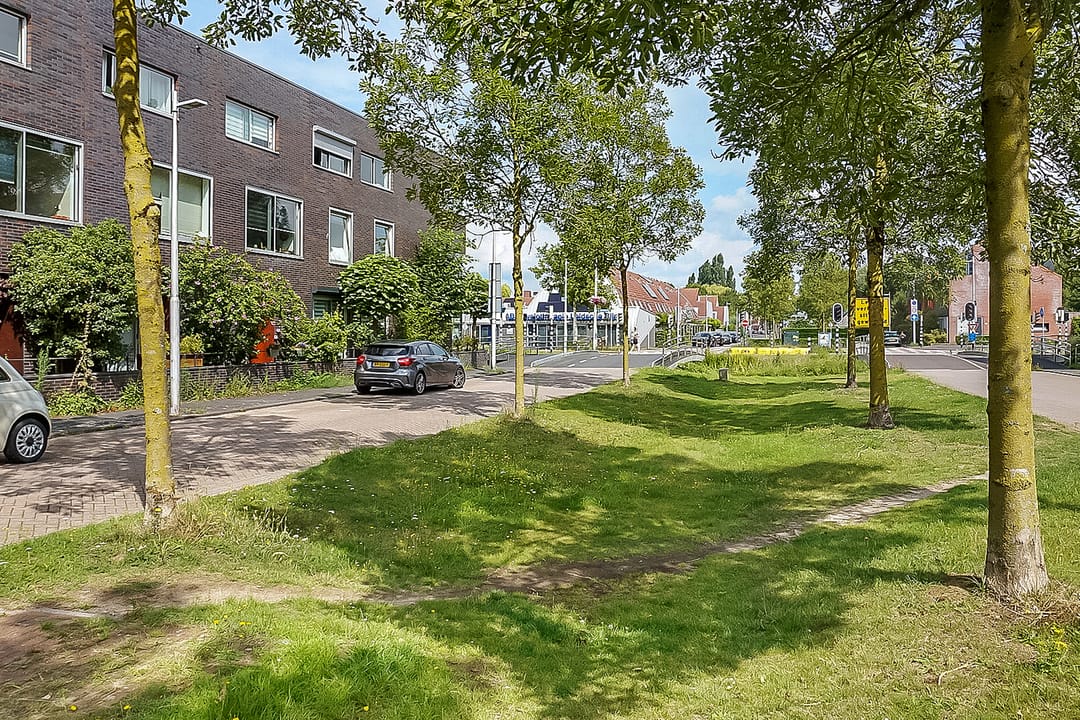 Foto 46 van Klifrakplantsoen 204