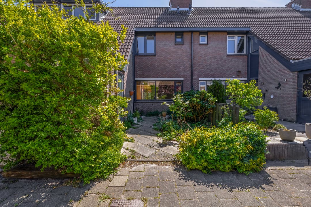 Foto 41 van Bastaardklaver 8