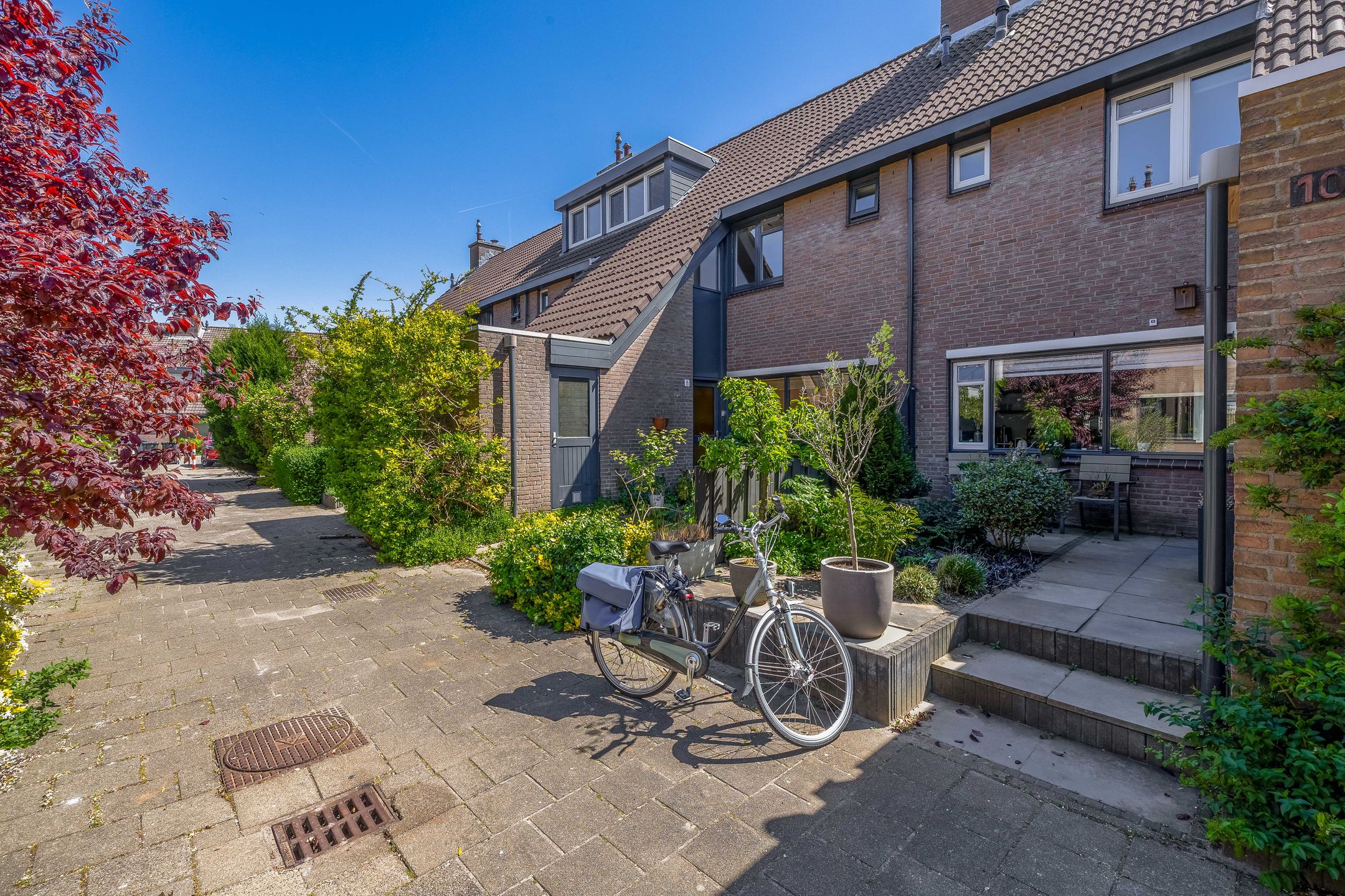 Foto 42 van Bastaardklaver 8