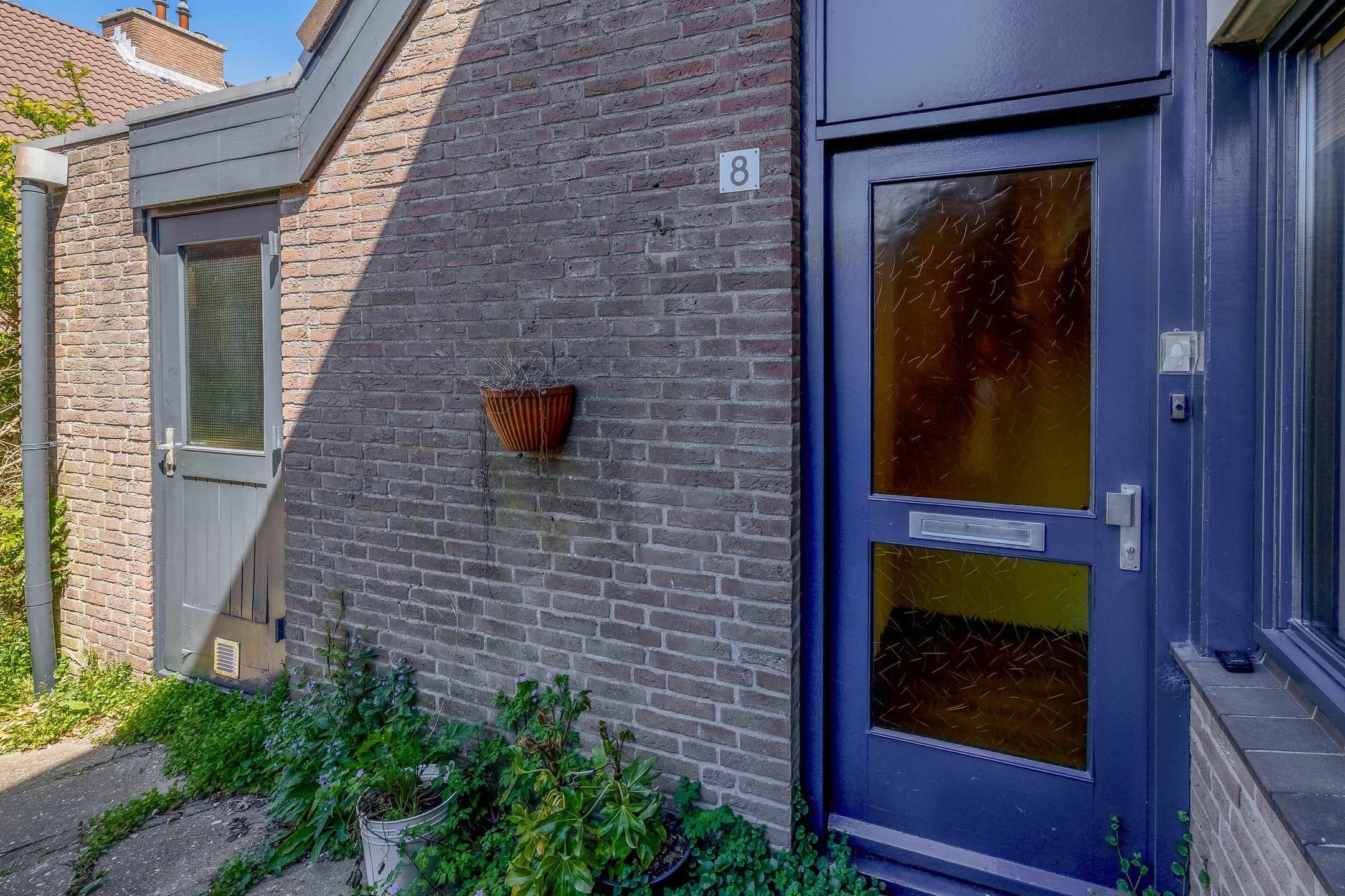 Foto 6 van Bastaardklaver 8
