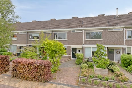 Prof ten Doesschatestraat thumbnail