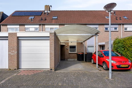 Ridderspoor thumbnail