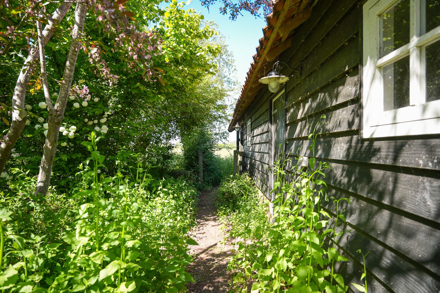 Photo 50 of Vleugeldijk 11