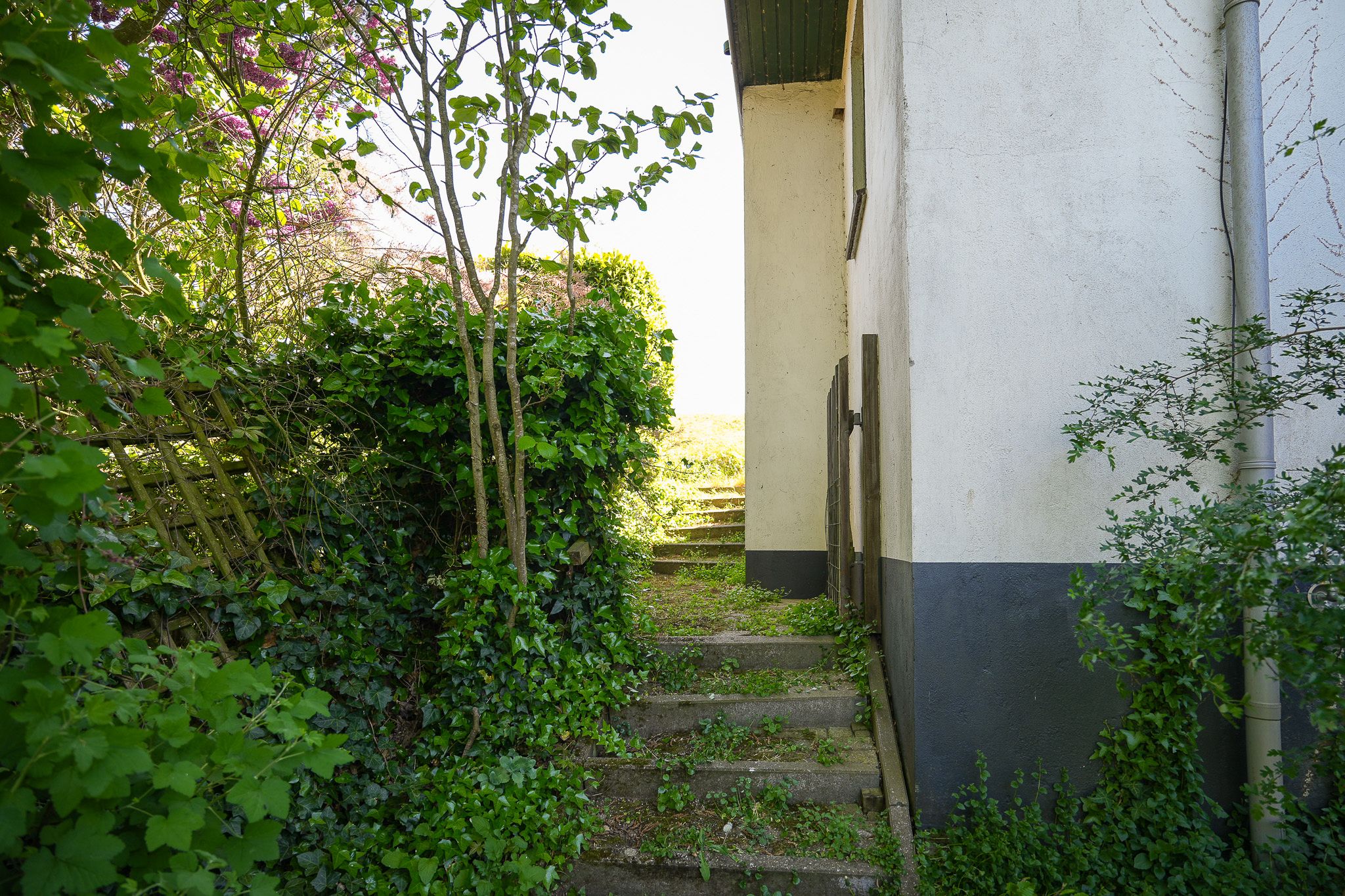Photo 42 of Vleugeldijk 11