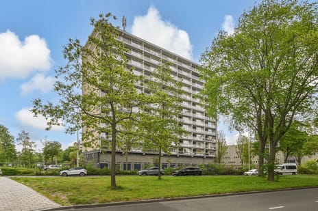 Pisuissestraat thumbnail