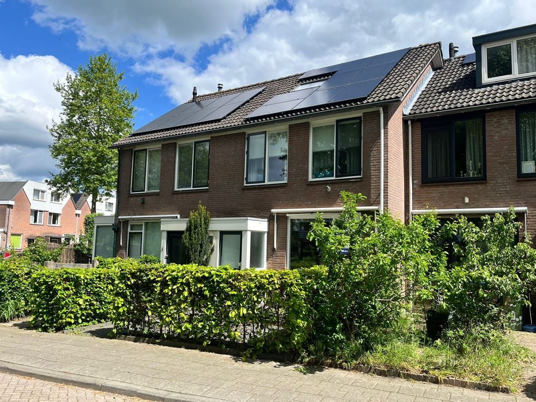 Foto 1 van Pinksterbloem 2
