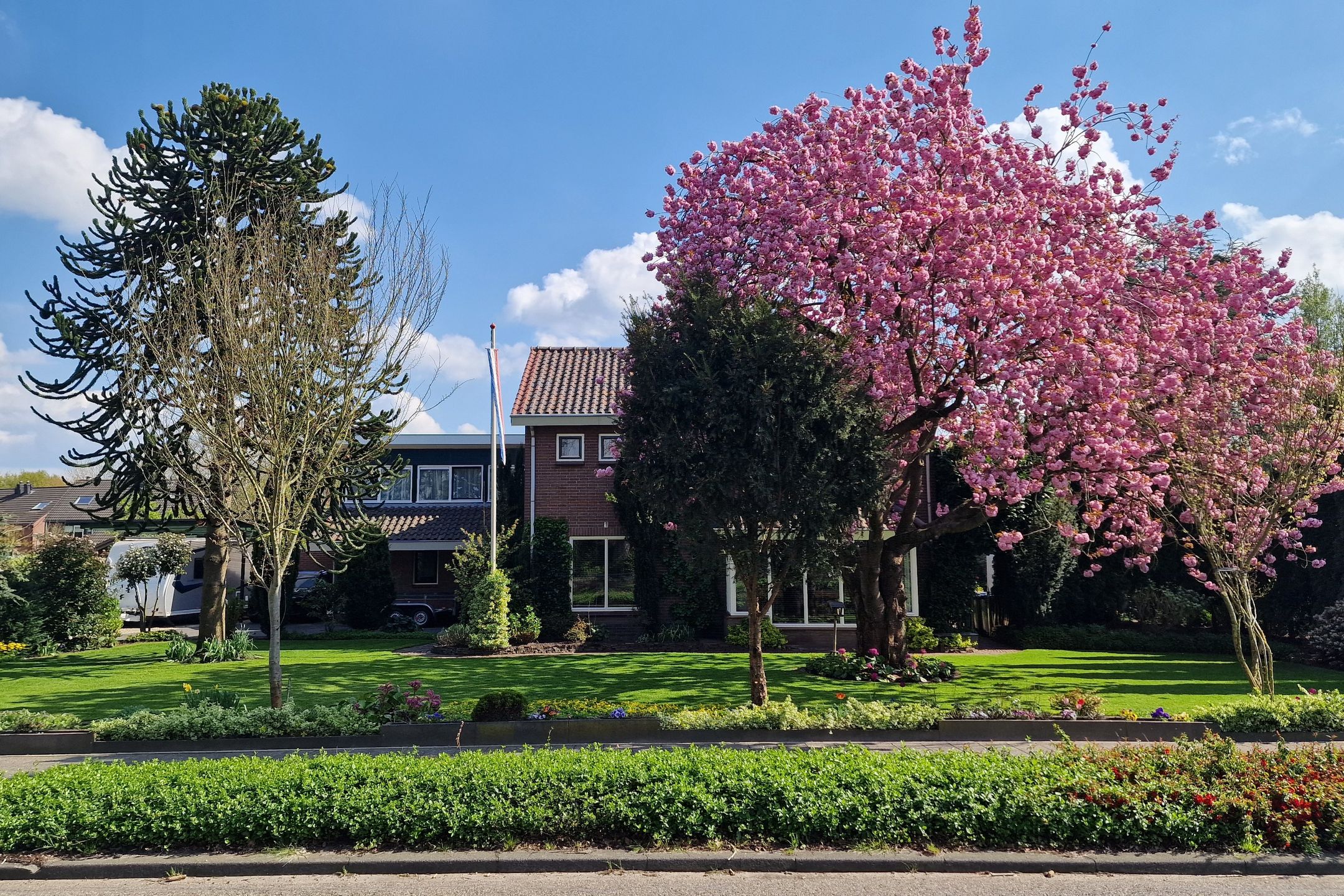 Westdorplaan 245 