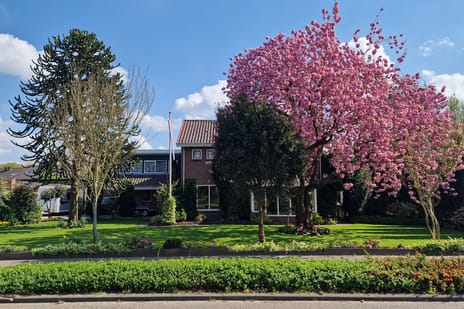 Westdorplaan thumbnail