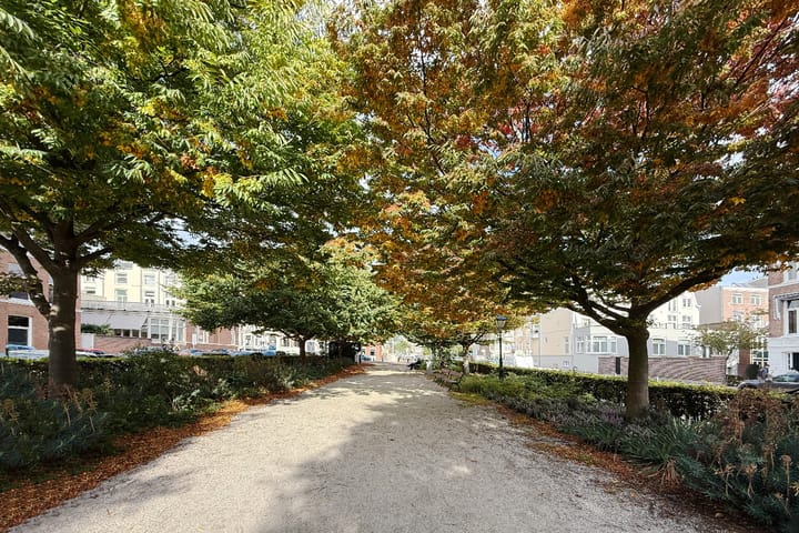 Foto 4 van Nassauplein 20