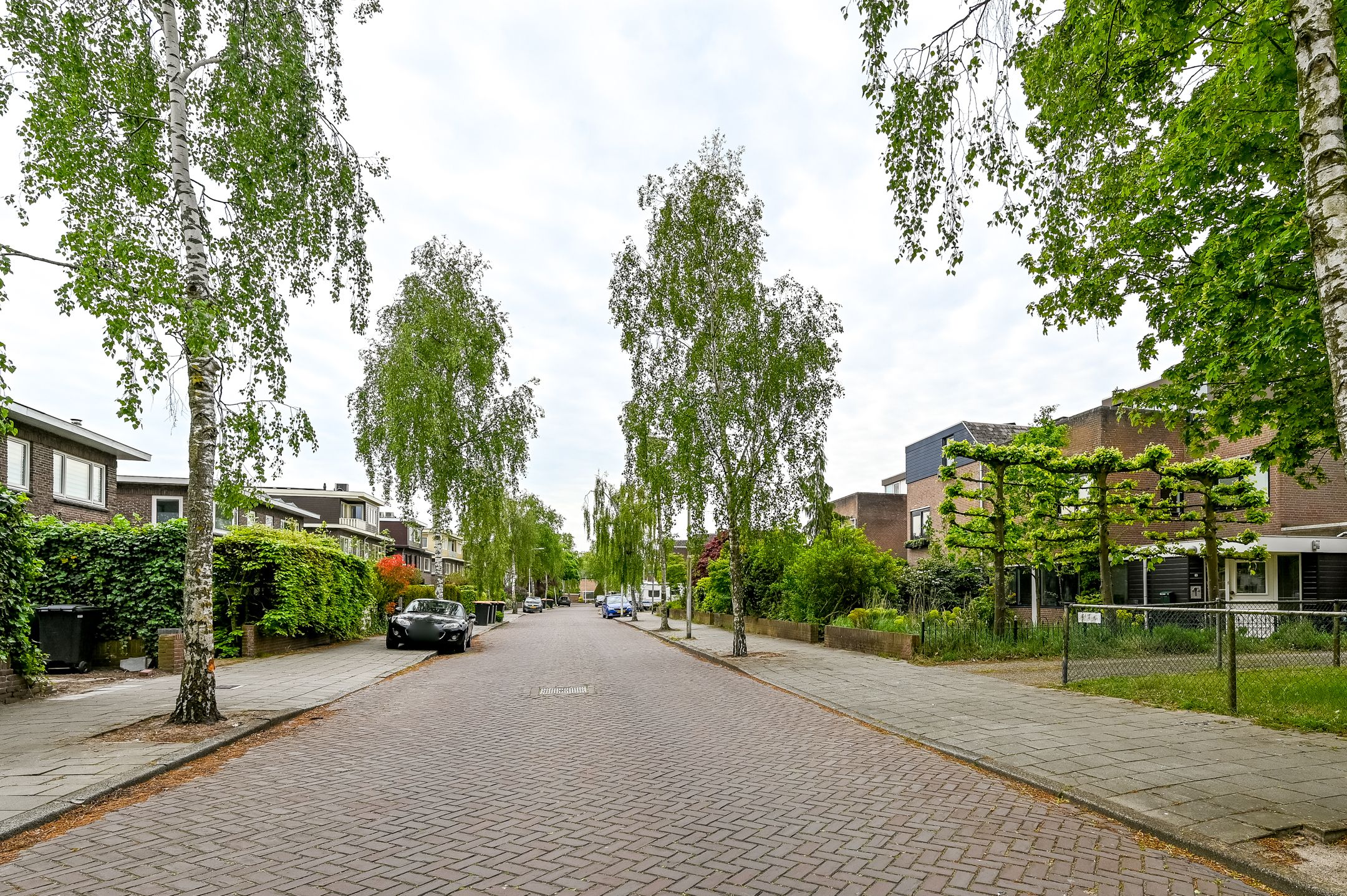 Photo 54 of Schaepmanlaan 2