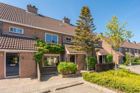Pijlkruidstraat thumbnail
