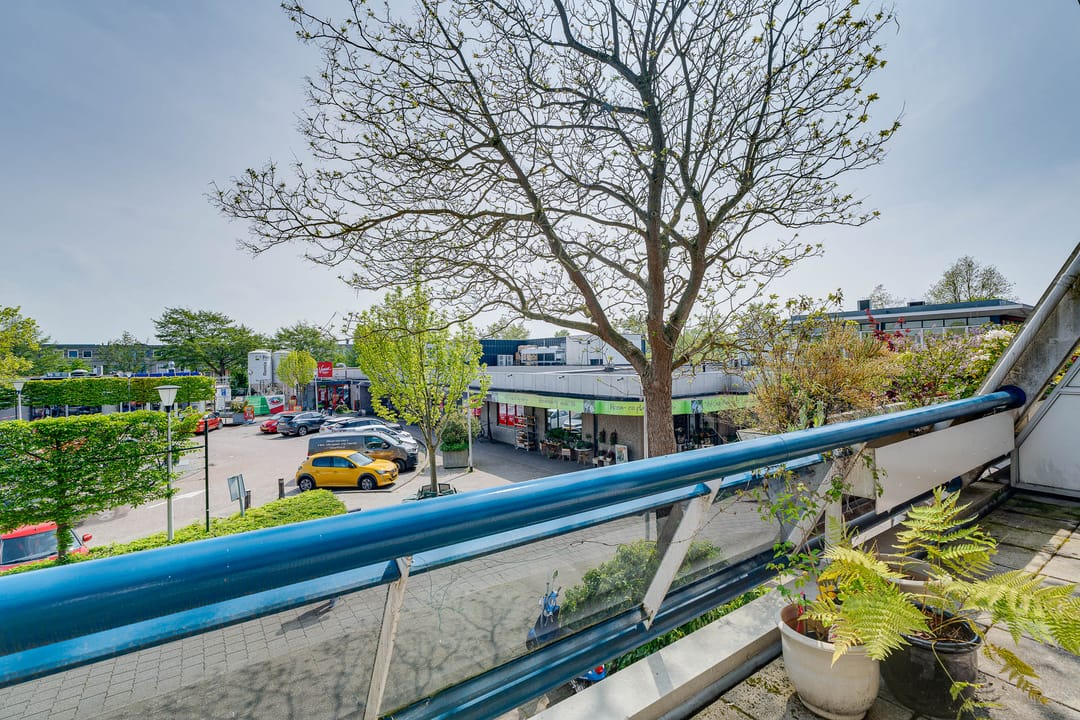 Photo 16 of Balsemkruidstraat 33