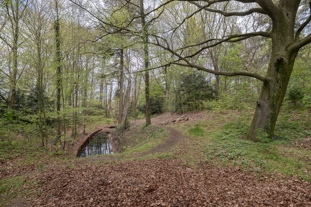 Foto 2 van de Wetstein Pfisterlaan 17