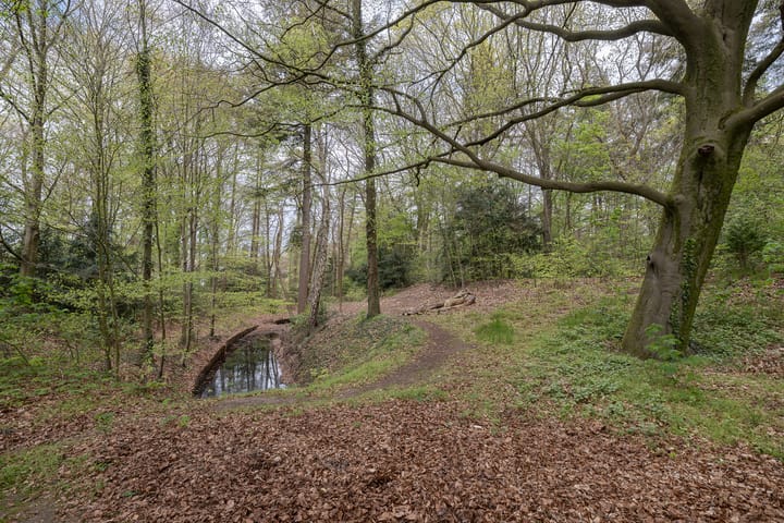 Foto 2 van de Wetstein Pfisterlaan 17