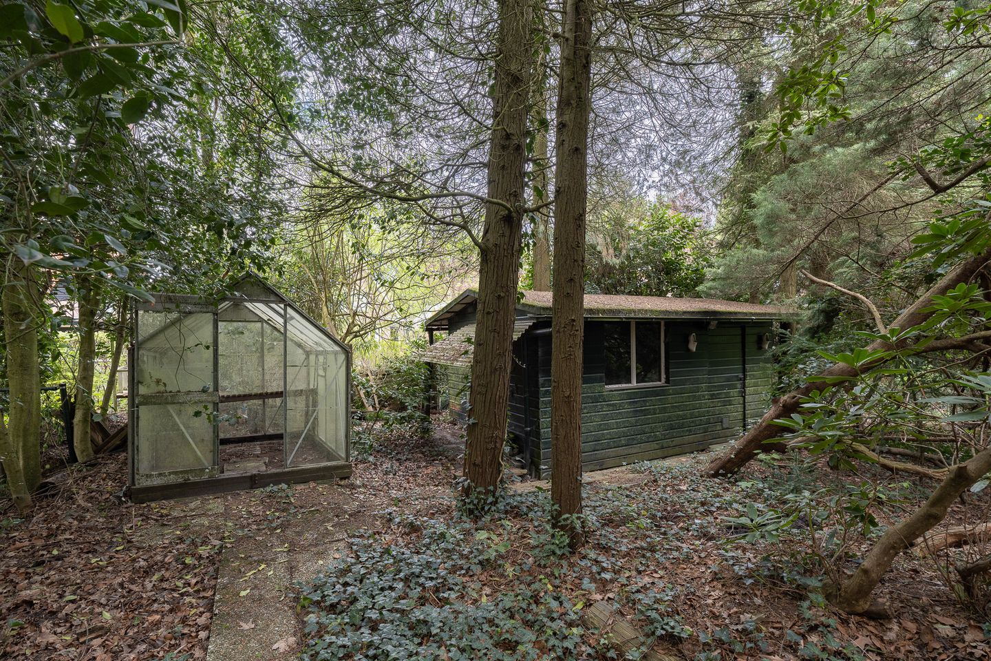 Foto 50 van de Wetstein Pfisterlaan 17