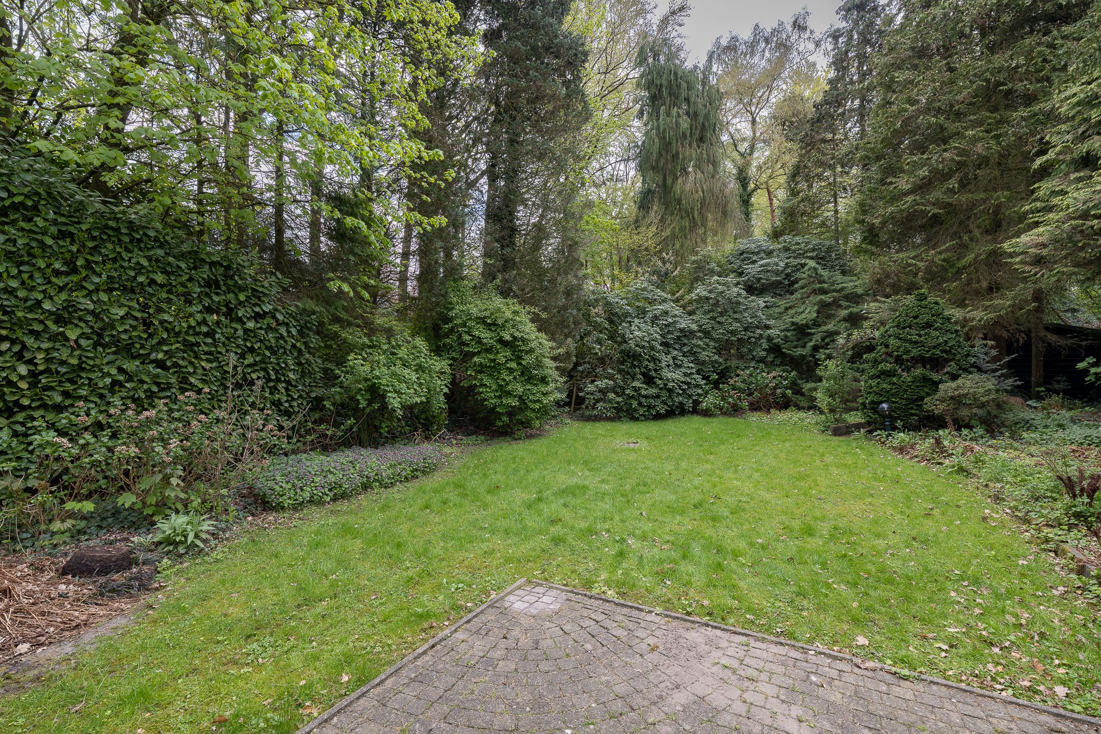 Foto 48 van de Wetstein Pfisterlaan 17