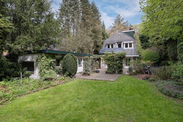 Foto 3 van de Wetstein Pfisterlaan 17