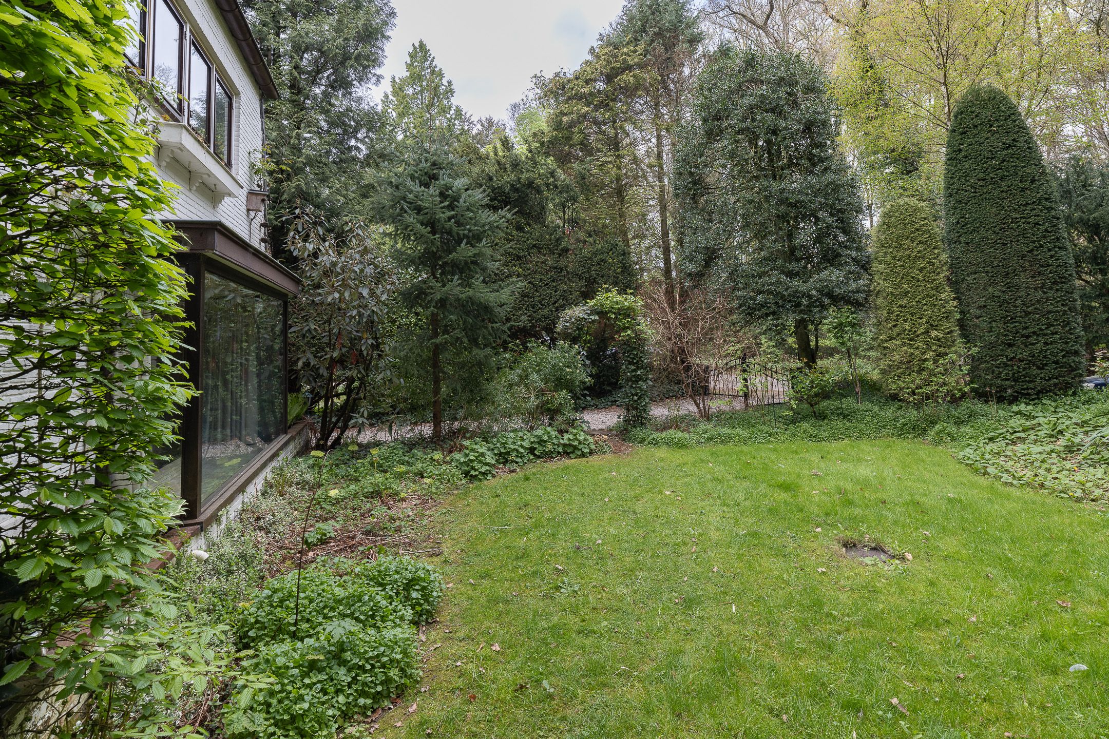 Foto 54 van de Wetstein Pfisterlaan 17