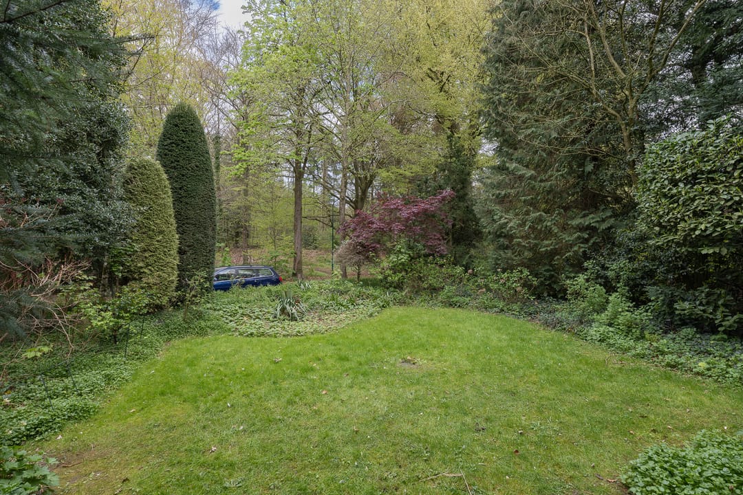 Foto 56 van de Wetstein Pfisterlaan 17