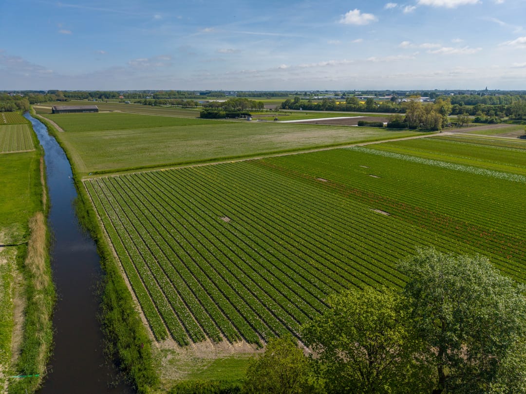 Foto 47 van Zuidbroek 67