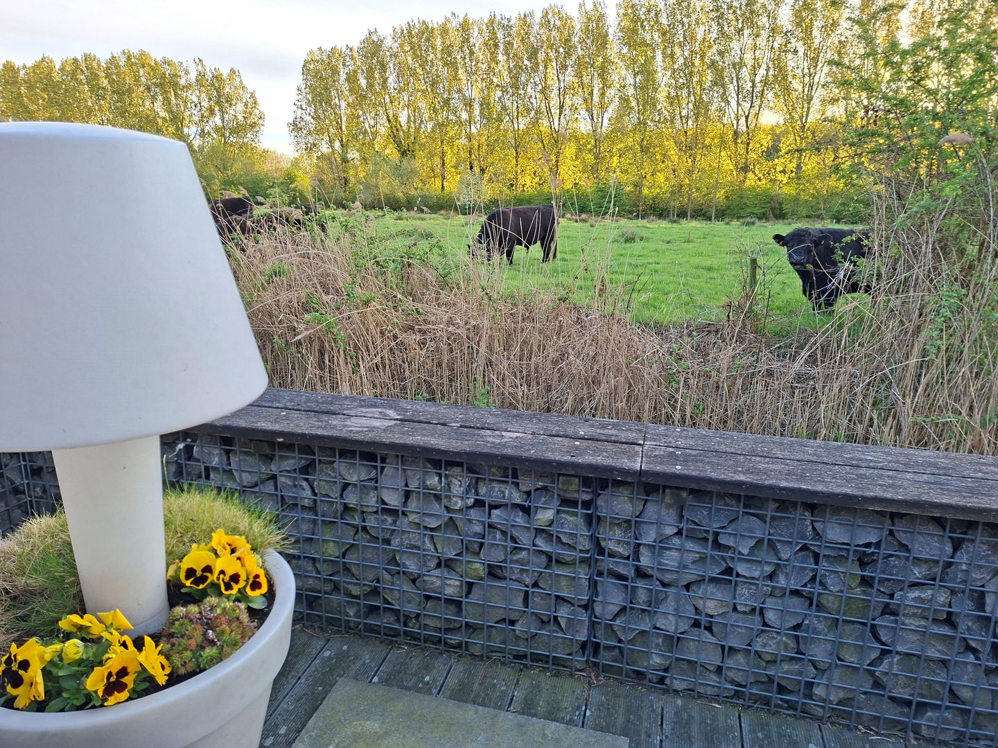 Photo 50 of Boomdijk 7