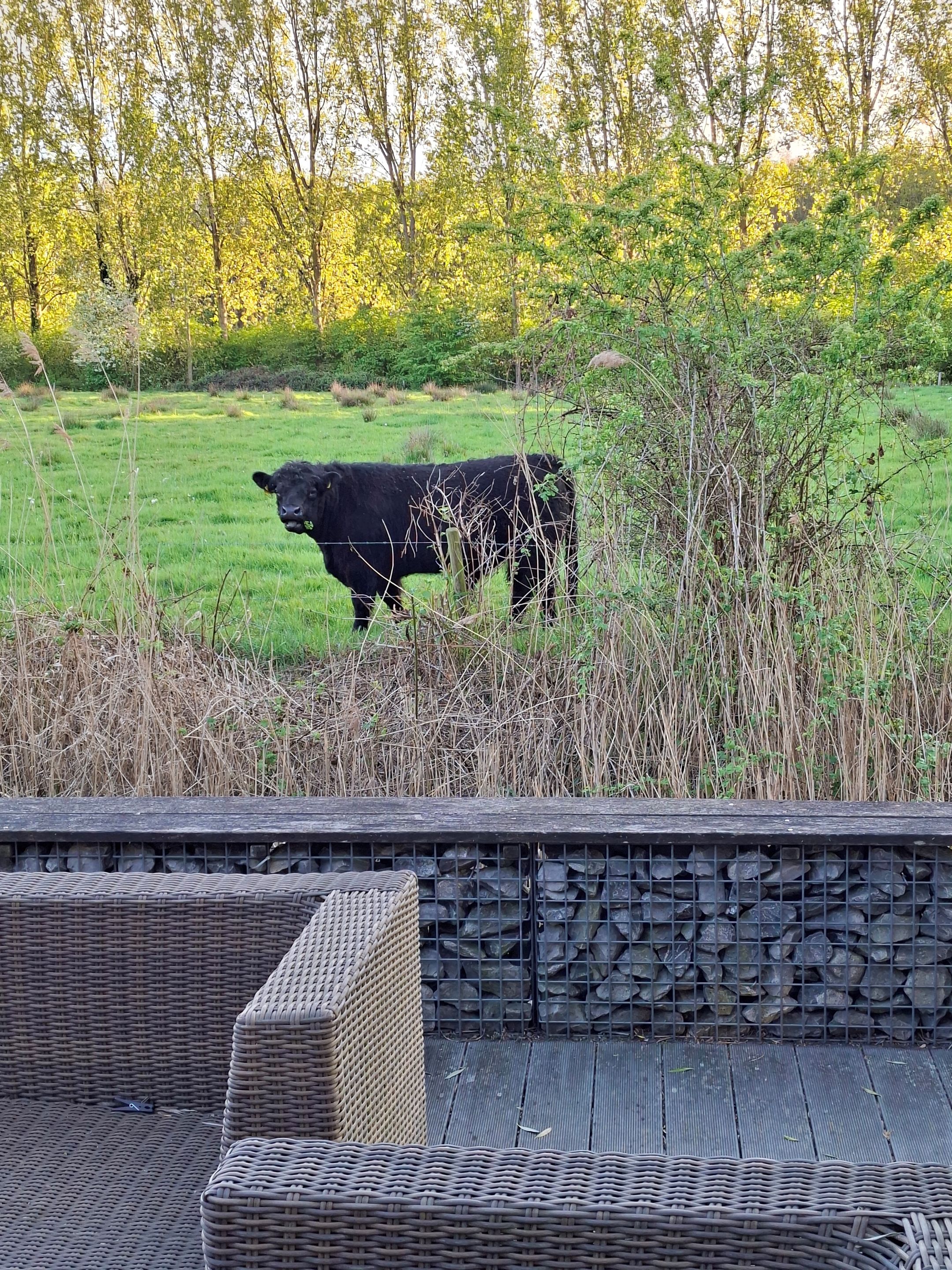 Photo 51 of Boomdijk 7