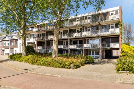 Schandelerboord thumbnail