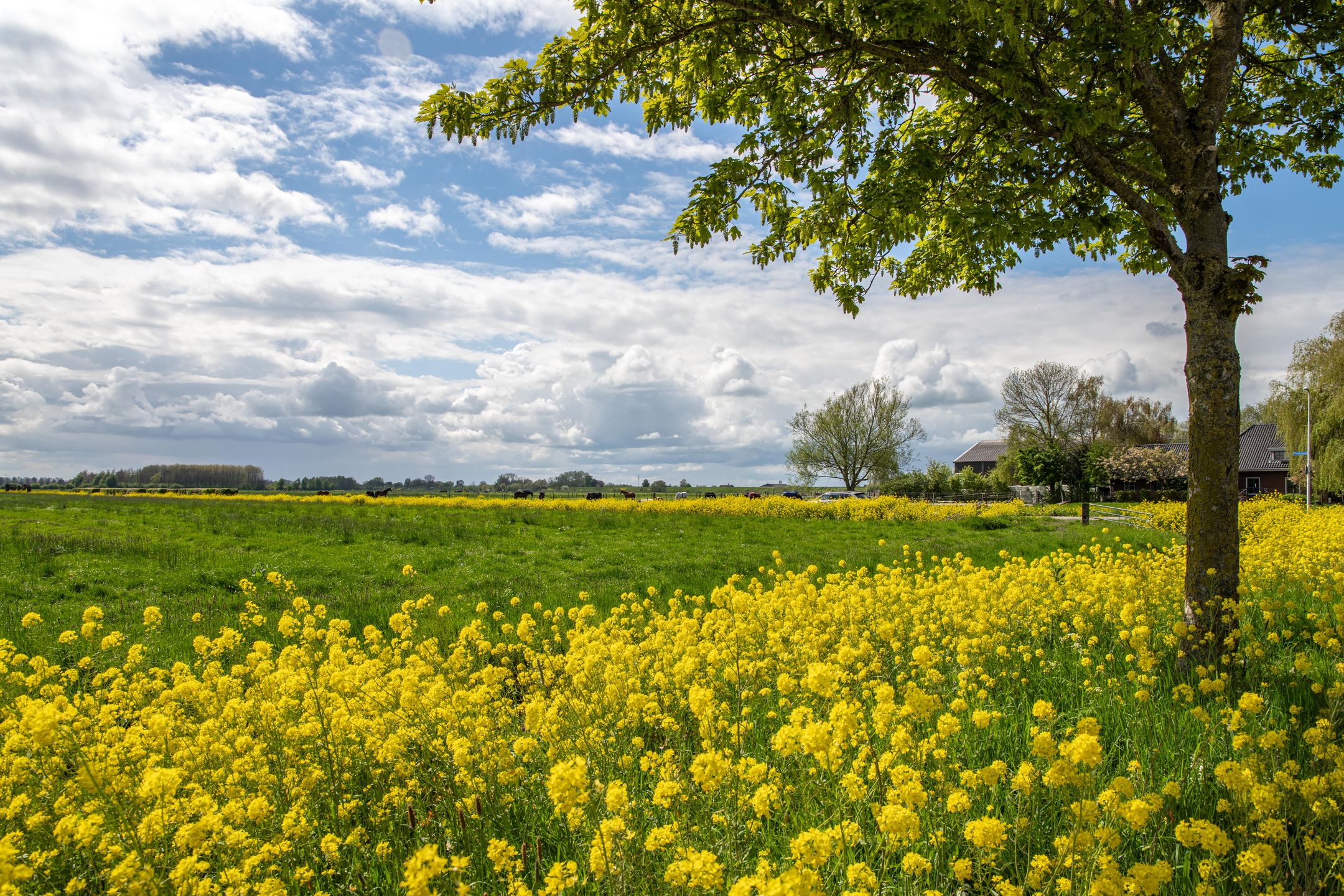 Photo 6 of Prijsseweg 20