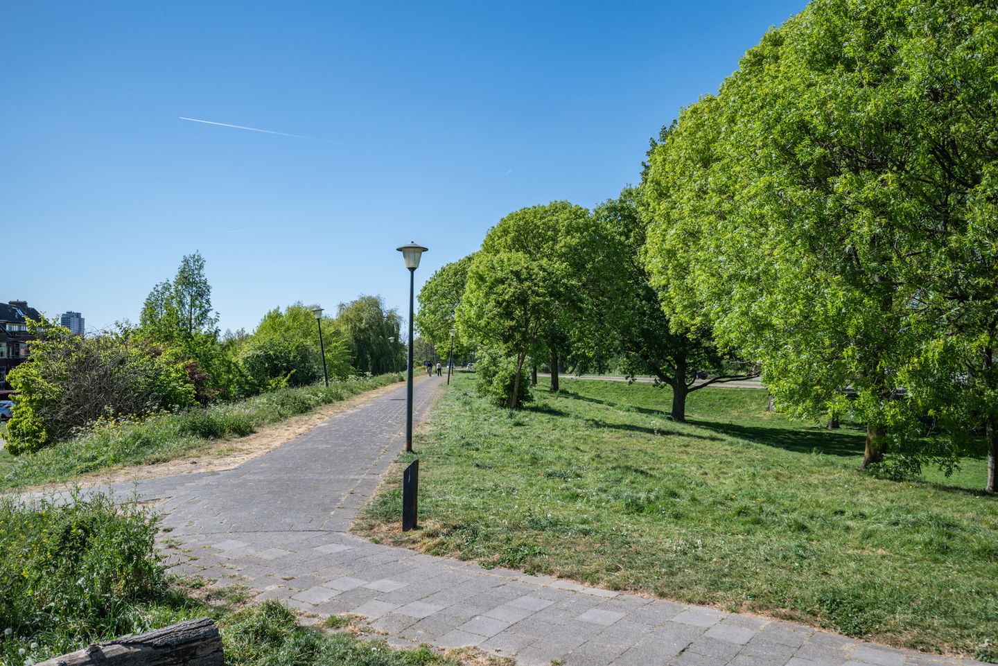 Foto 44 van Schiedamseweg 242-C