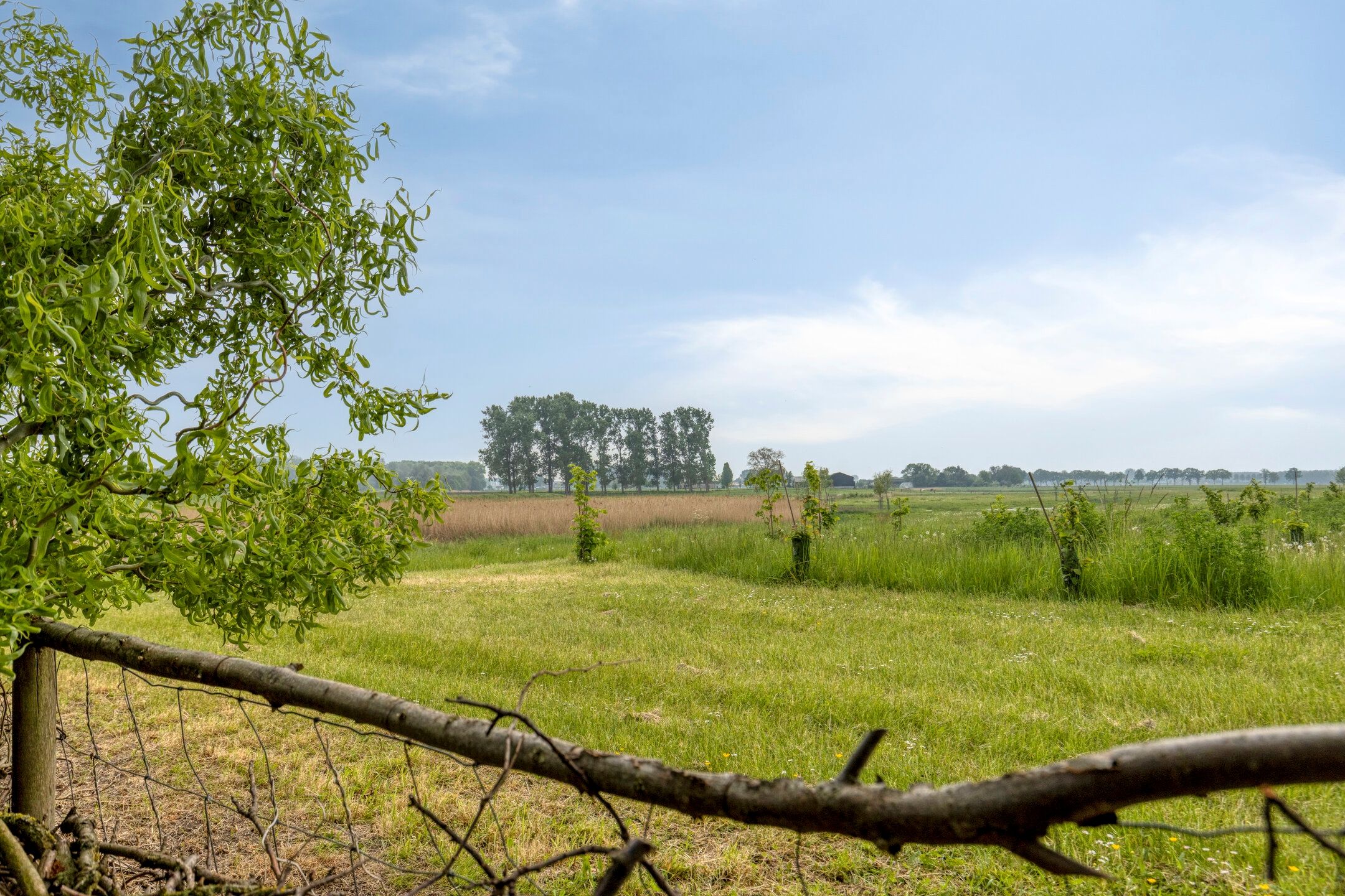 Photo 54 of Notendijk 86