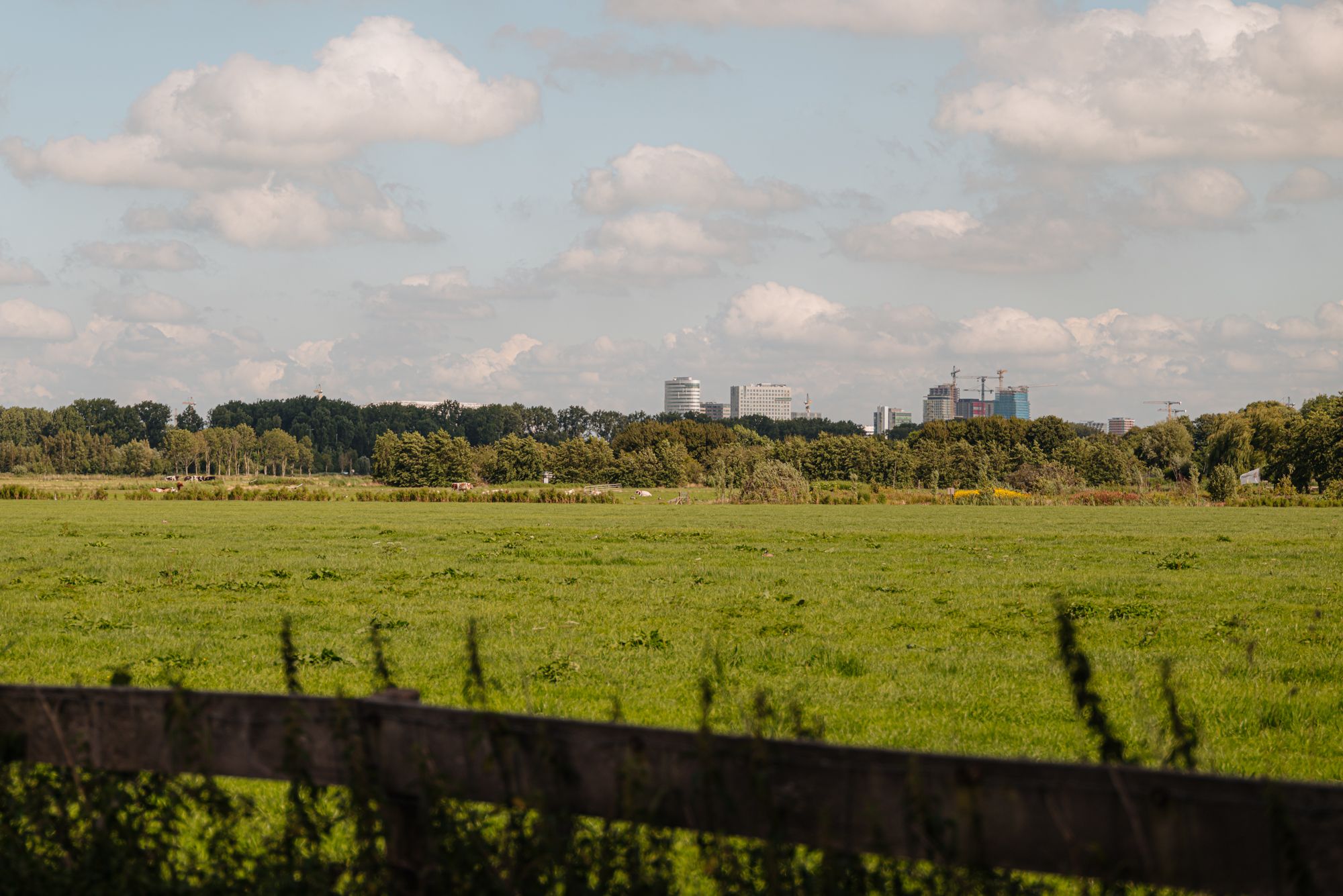 Photo 57 of Ouderkerkerdijk 204