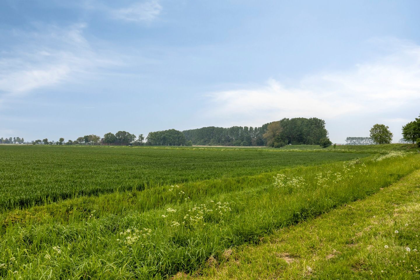 Photo 55 of Notendijk 86