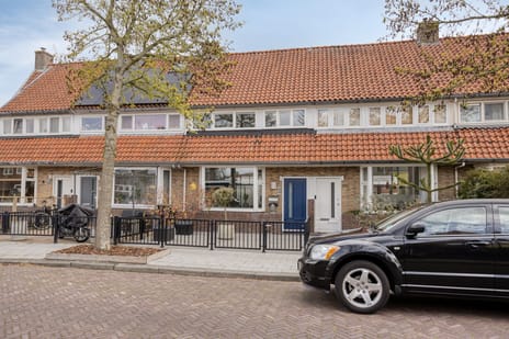 van Leeuwenhoekstraat thumbnail