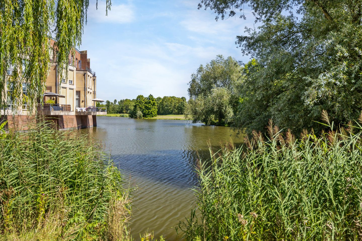 Photo 44 of Zwaenenstede 6