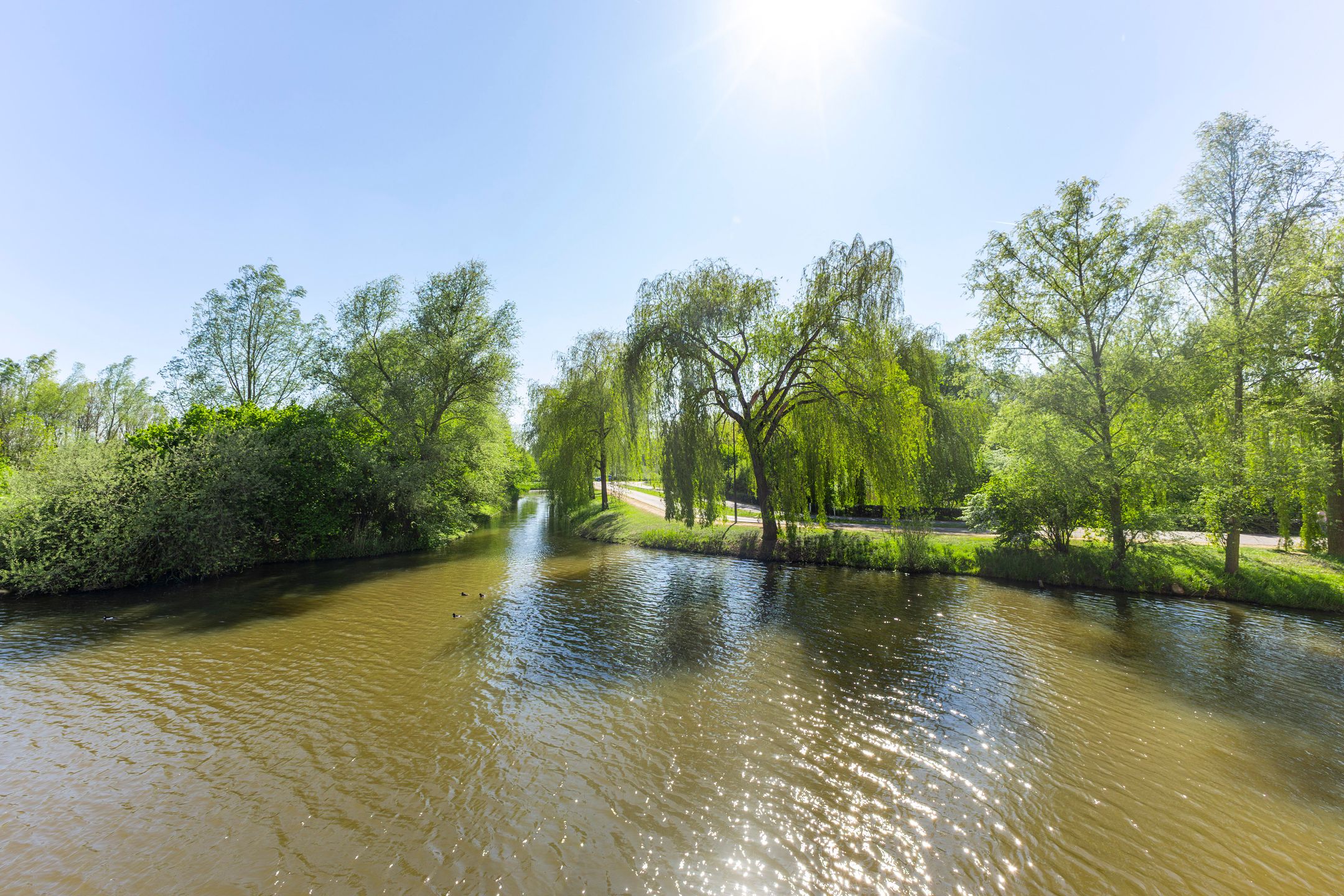 Photo 39 of Zwaenenstede 6