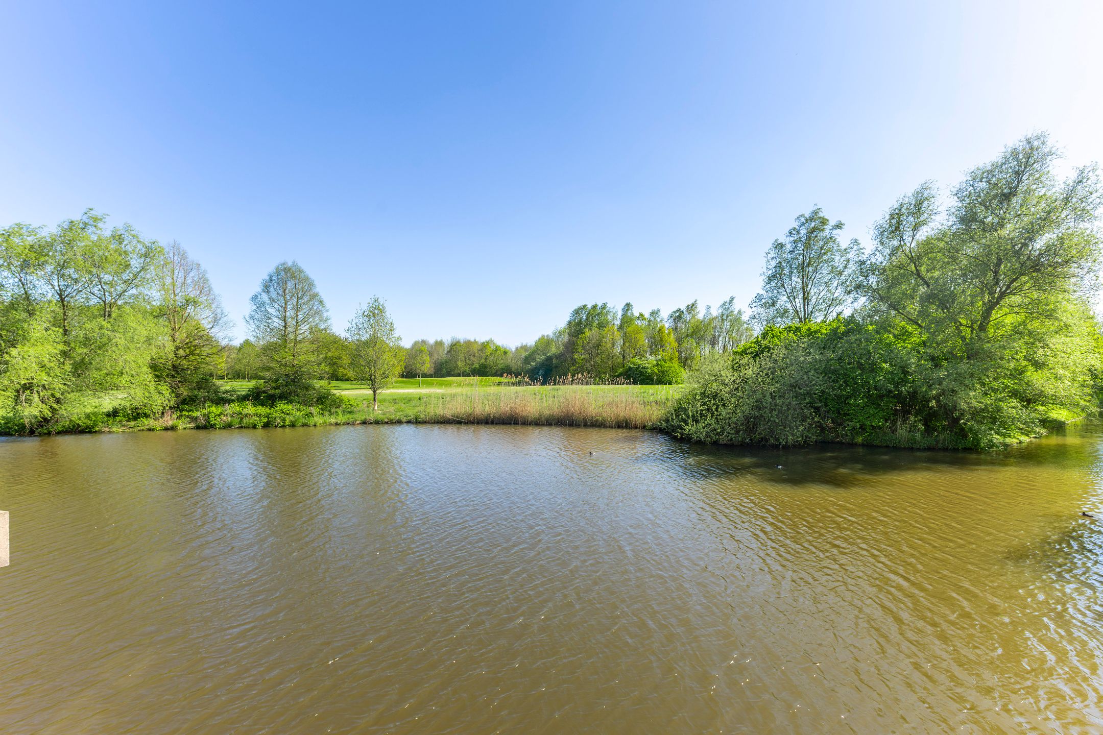 Photo 12 of Zwaenenstede 6
