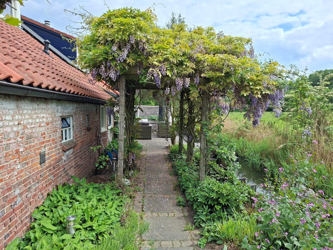 Photo 46 of Boomdijk 7