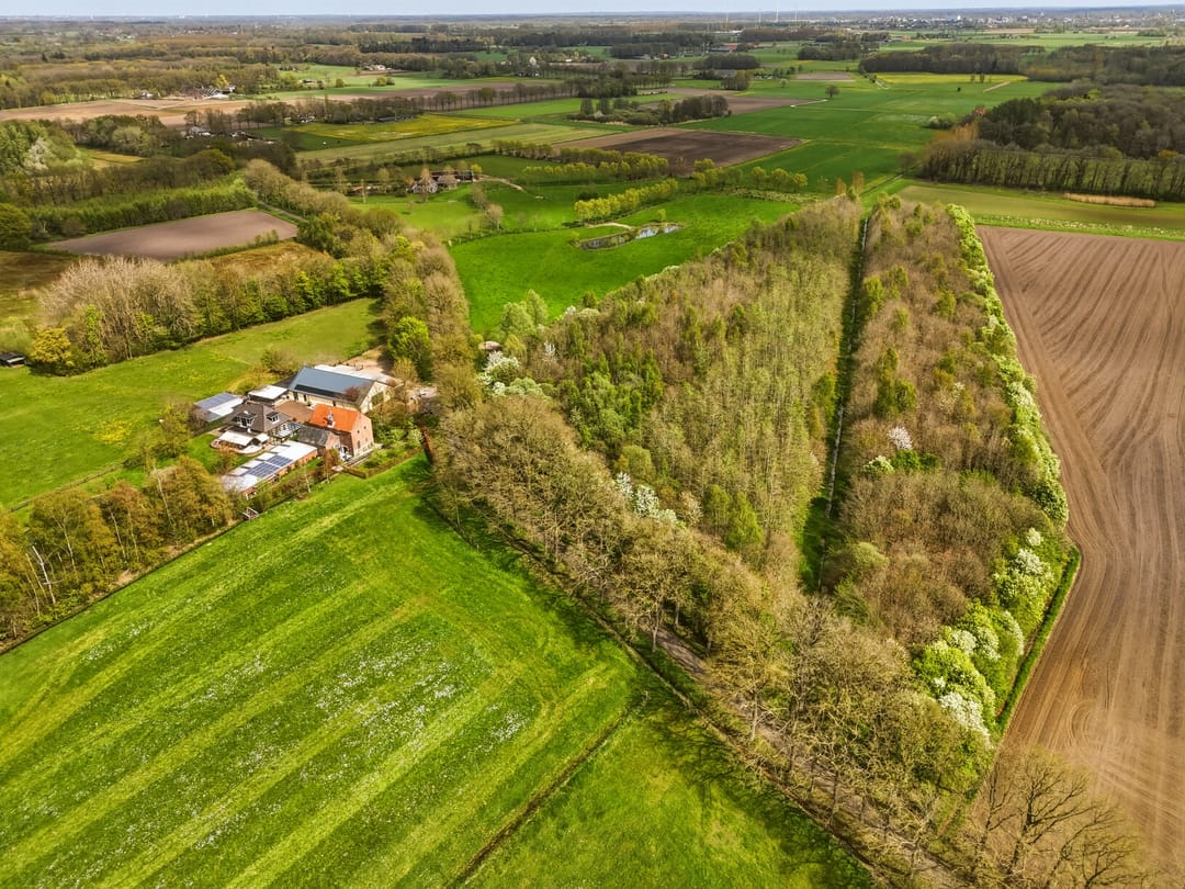 Foto 101 van Haarweg 3