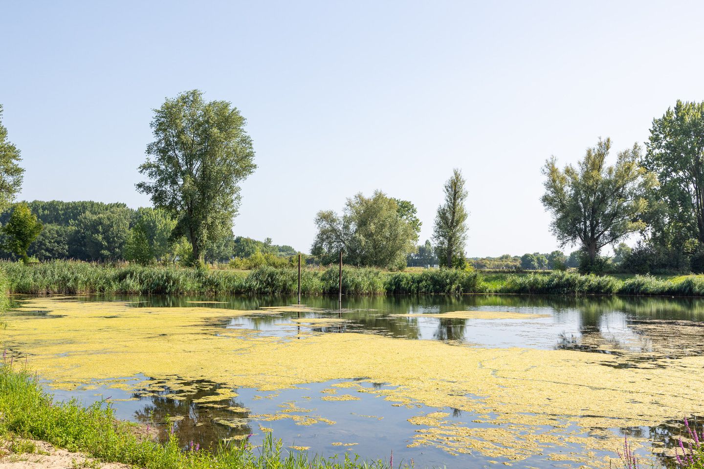 Photo 64 of Koningin Wilhelminastraat 4
