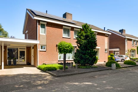 Zwartveldsingel thumbnail