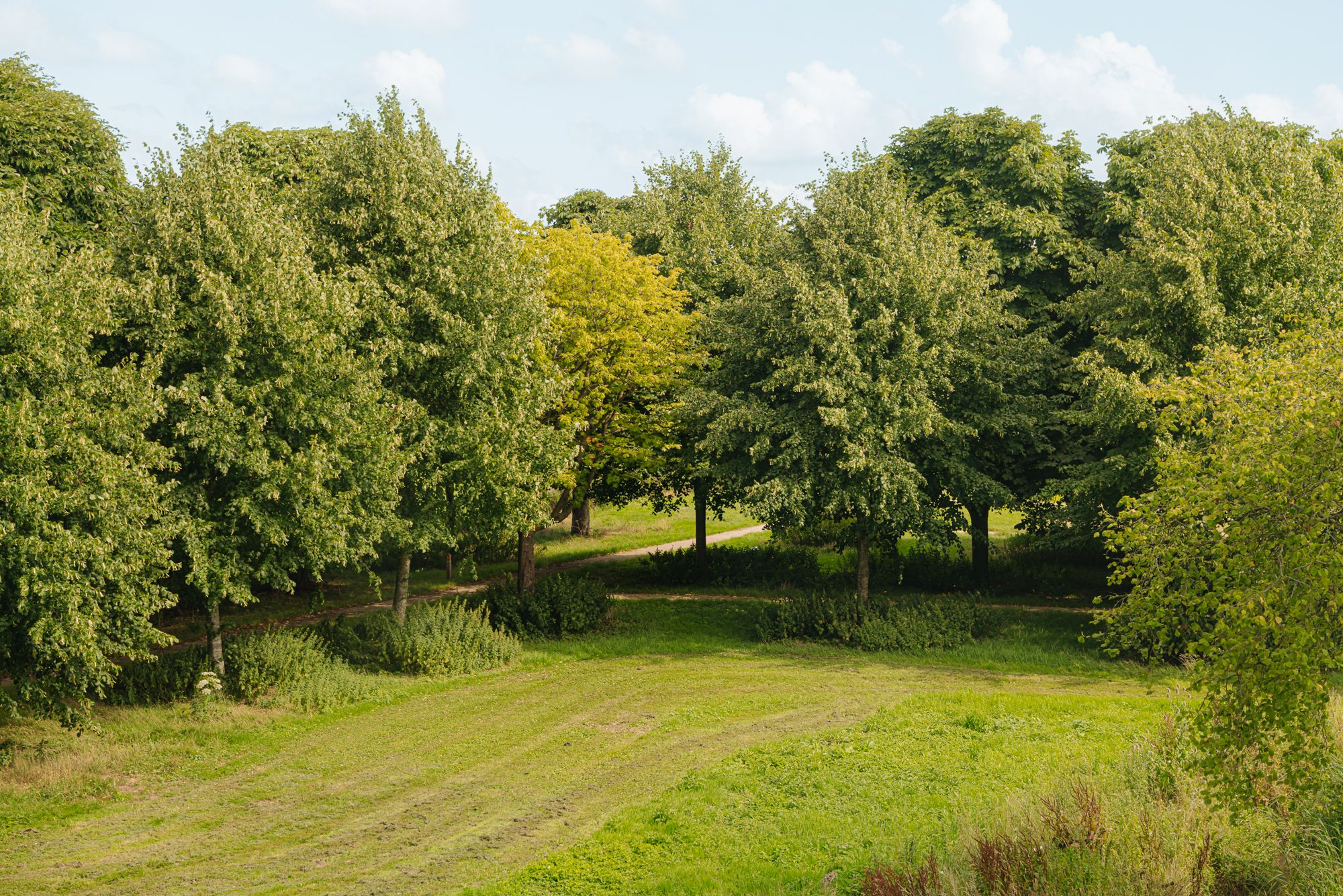 Photo 45 of Ouderkerkerdijk 203